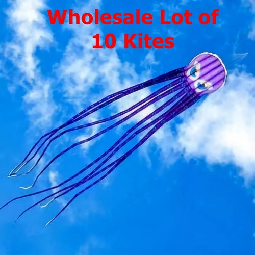Wholesale lot giant - of,